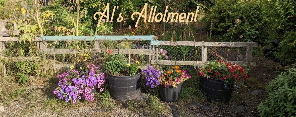 Al's Allotment
